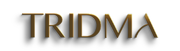 interativeproducoes.com/TridmaExperienceShow